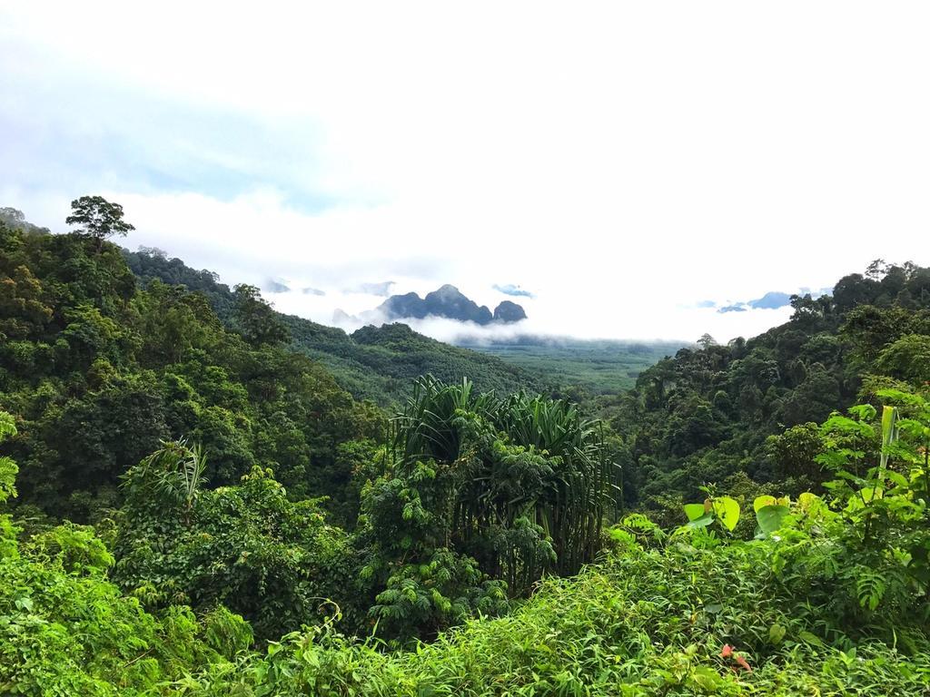 Khao Sok Homestay Resort Khao Sok National Park Buitenkant foto