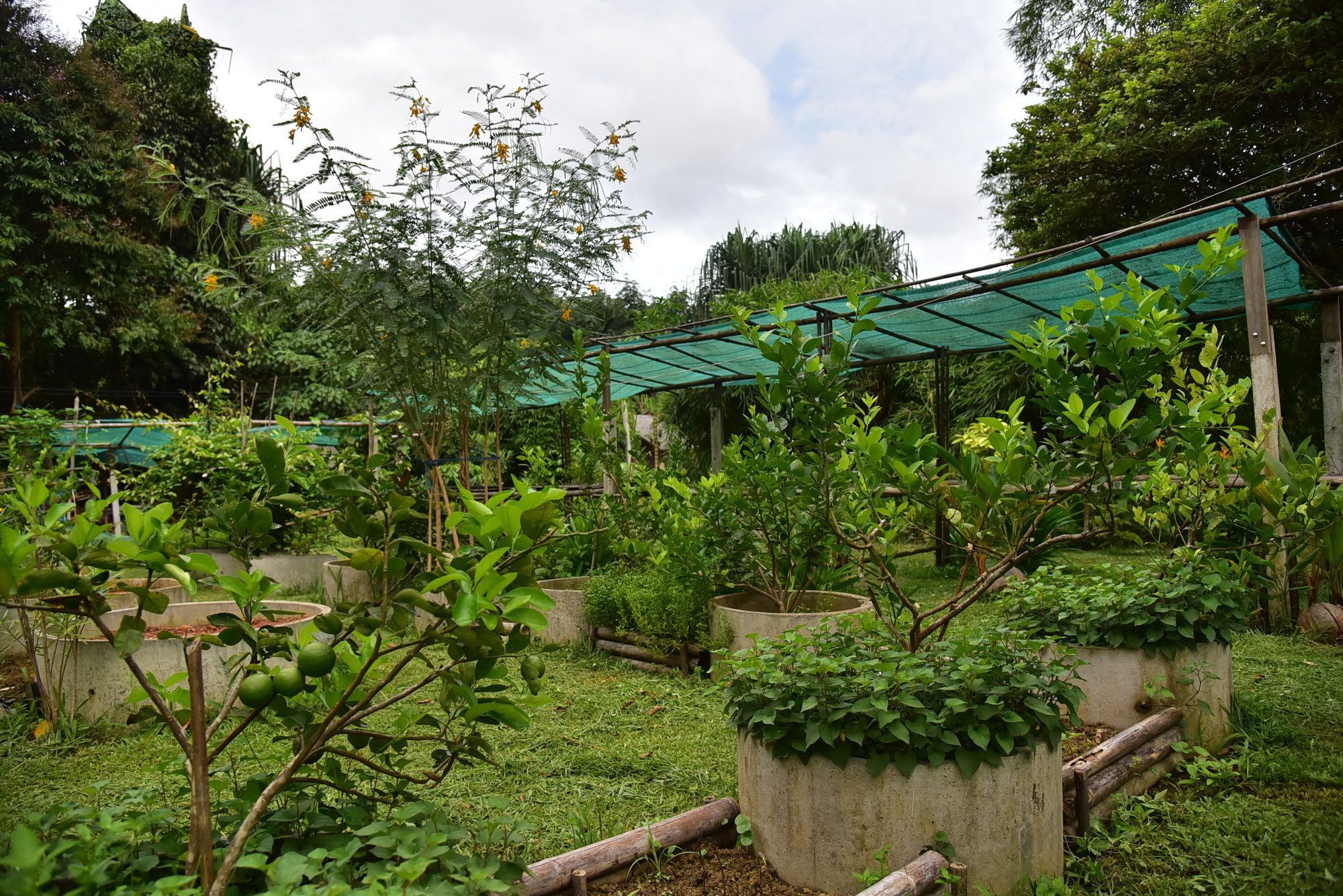 Khao Sok Homestay Resort Khao Sok National Park Buitenkant foto