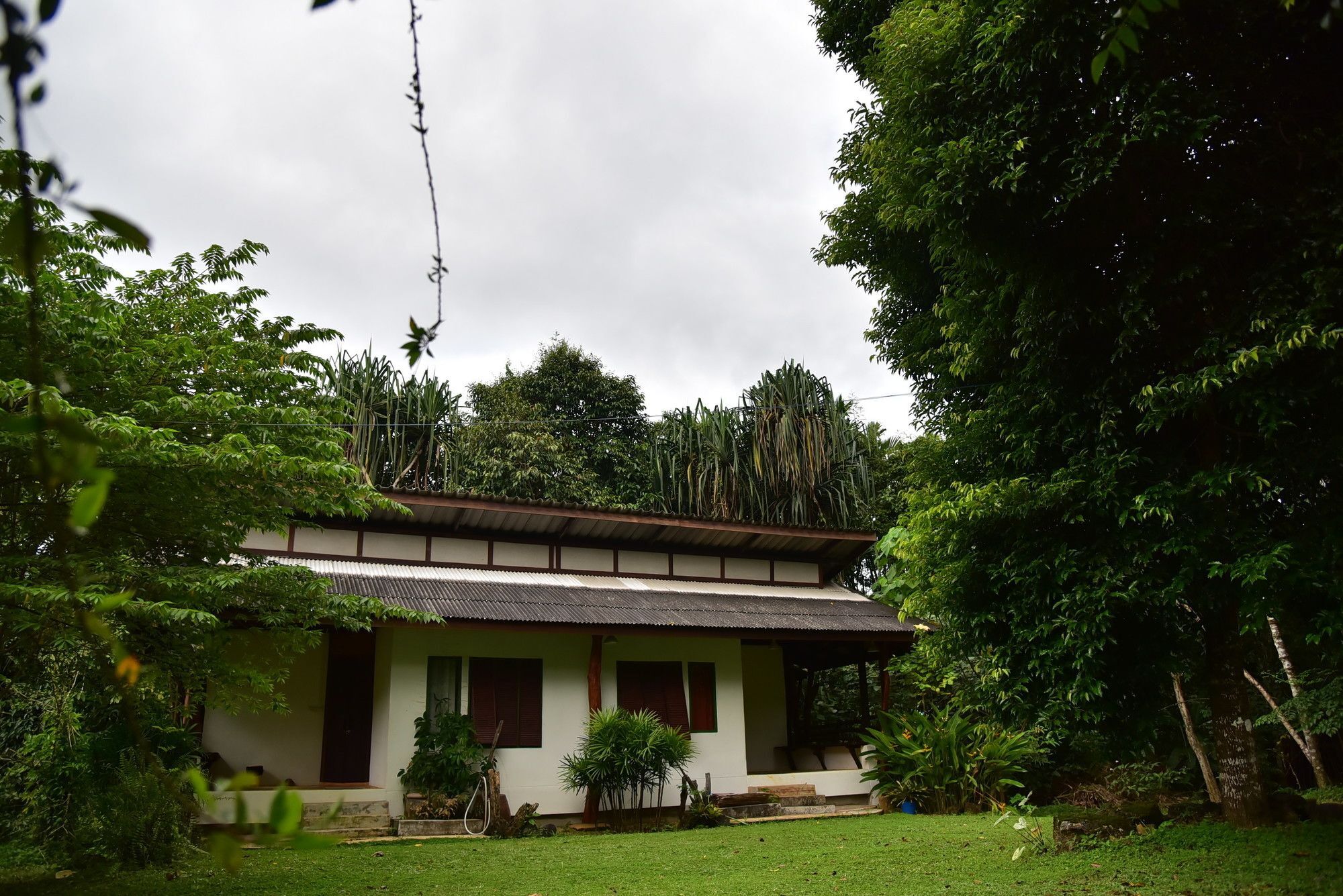 Khao Sok Homestay Resort Khao Sok National Park Buitenkant foto