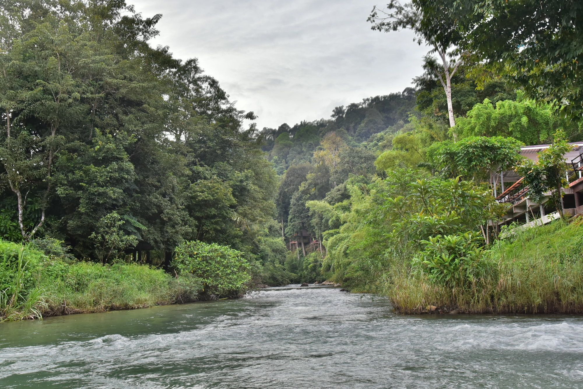 Khao Sok Homestay Resort Khao Sok National Park Buitenkant foto