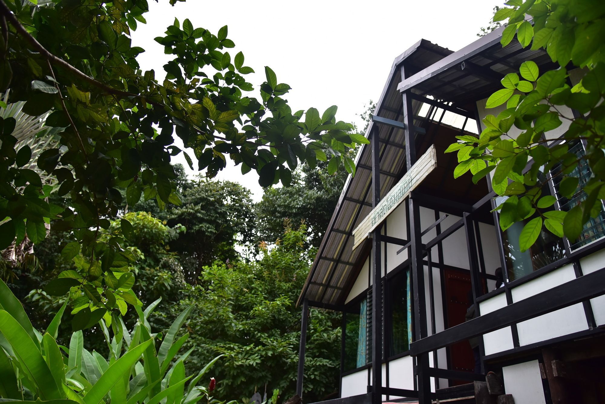 Khao Sok Homestay Resort Khao Sok National Park Buitenkant foto