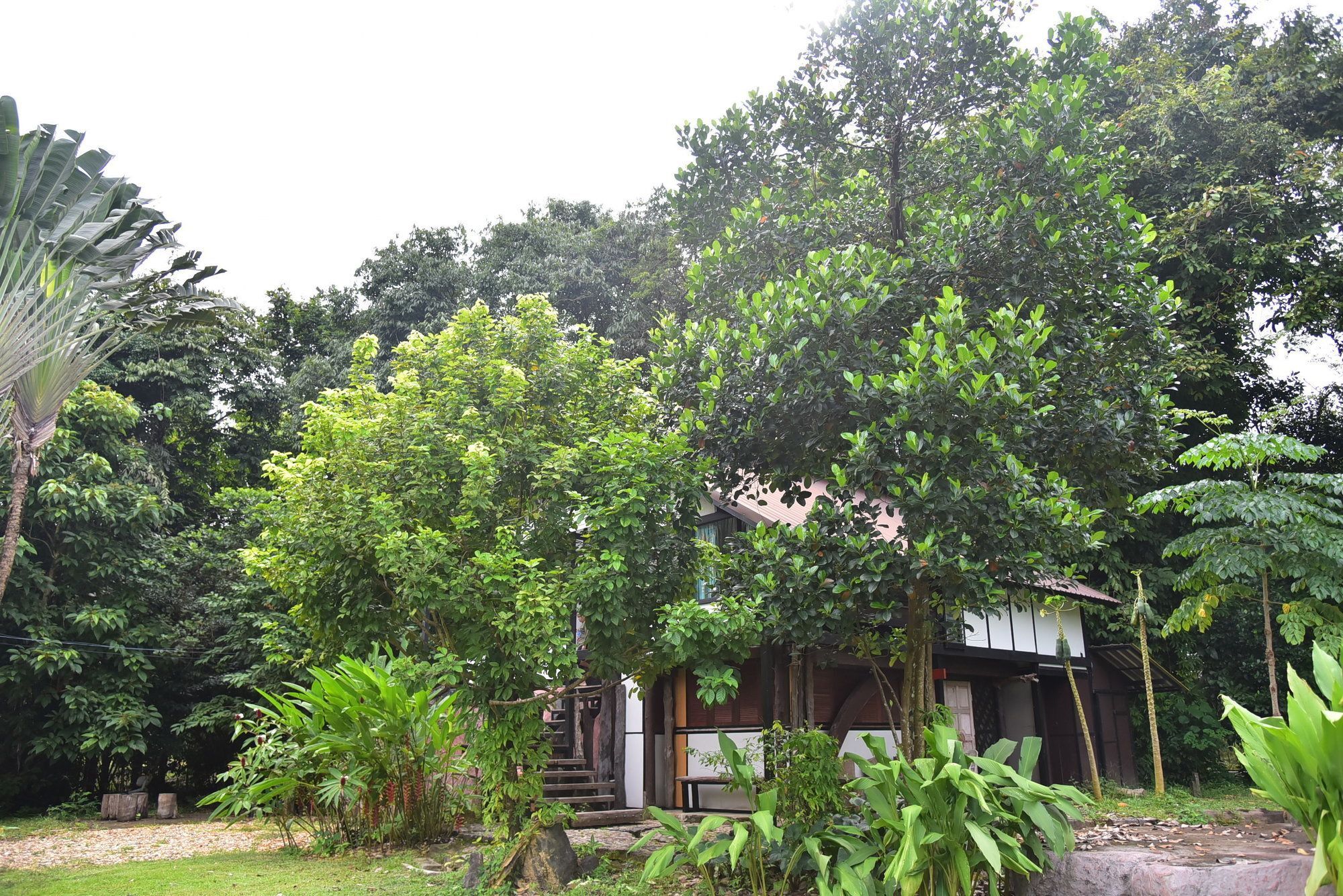 Khao Sok Homestay Resort Khao Sok National Park Buitenkant foto
